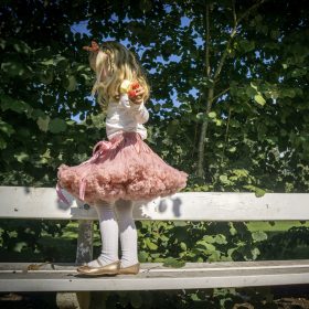 Strutskørt Gammelrosa