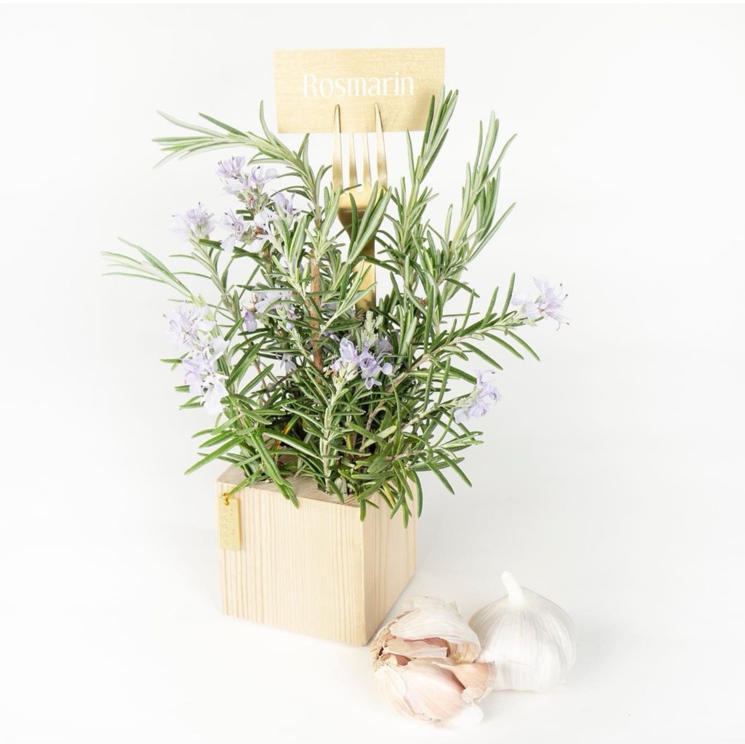 Skabervasen - fyrretræ Skabervasen - fyrretræ