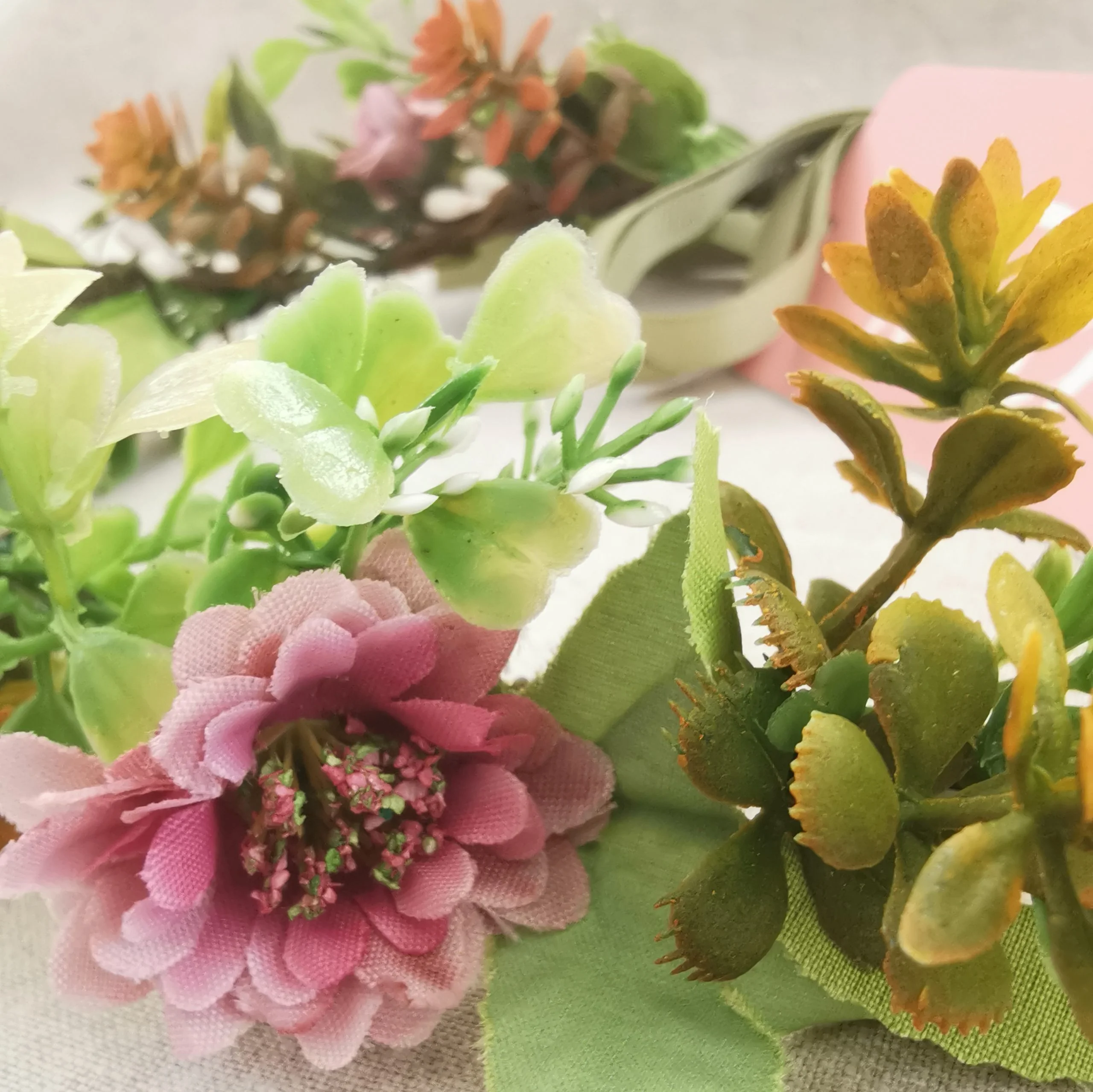 Skovbundens hårkrans