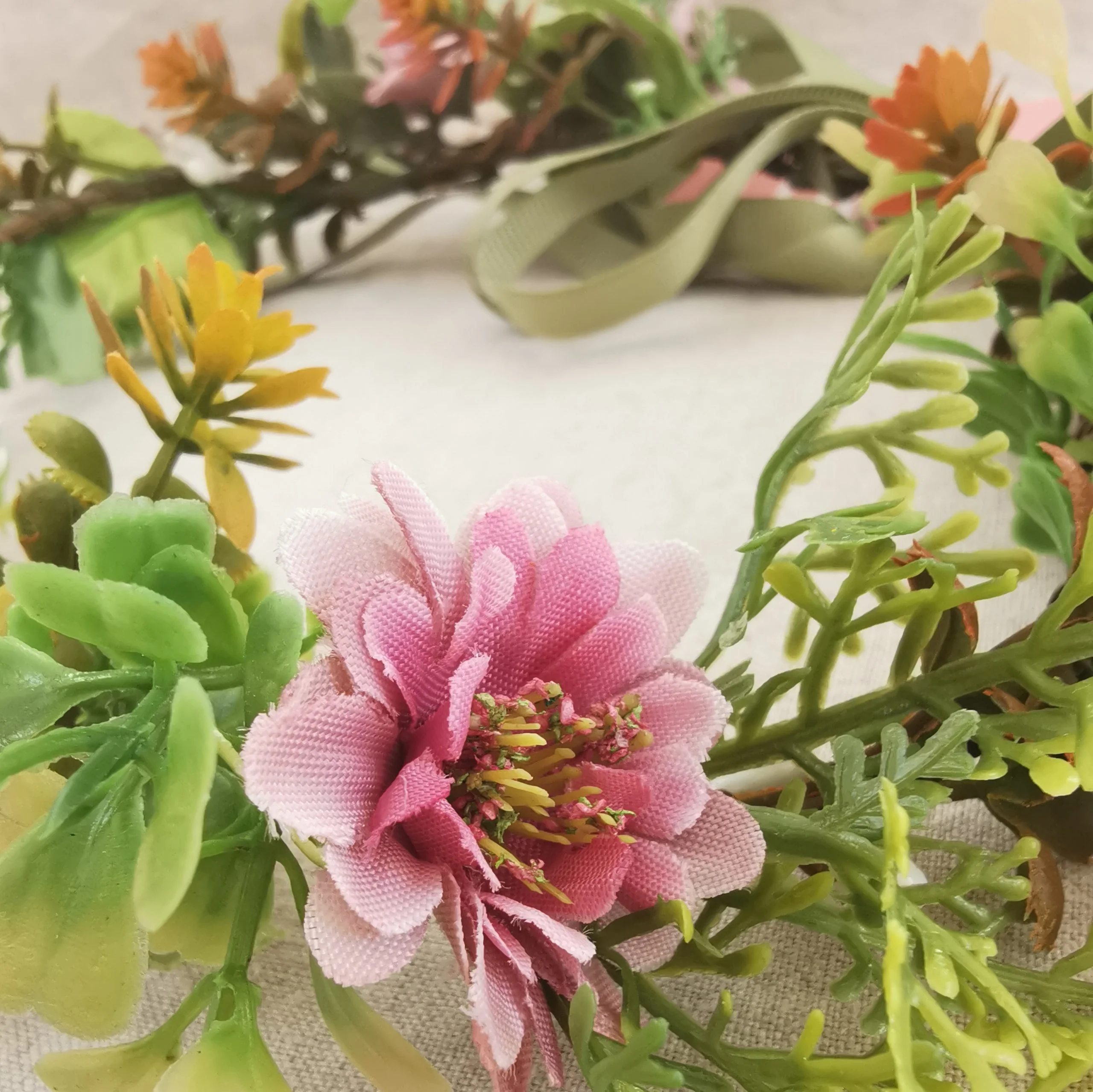 Skovbundens hårkrans