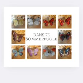 De fineste danske sommerfugle clips
