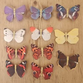 Sæt med 11 naturtro danske sommerfugleclips